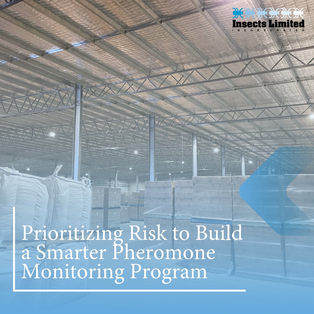 Insects Limited, Inc tweet media