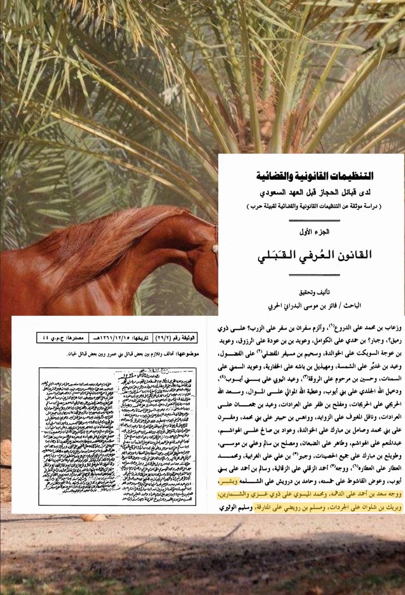 البشري tweet media