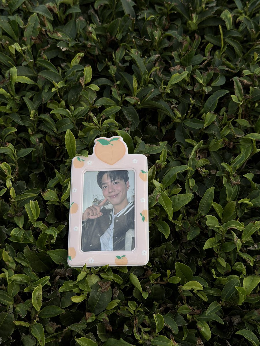 satw33's tweet photo. Photos from last year jeju trip, bringing bogum pc around jeju 

📍 Osulloc Tea Museum 오설록 티 뮤지엄 

#박보검 #parkbogum https://t.co/gSqVbup0Gw