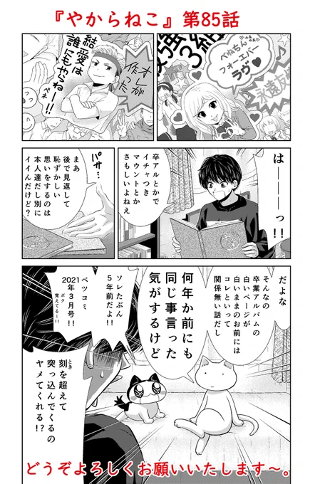 🌸宣伝です🌸

【ベツコミ 4月号】現在発売中です。

今月の『やからねこ』は卒業アルバムについてのナンダカンダです。こんな話を描いておきながら個人的には卒業アルバムの必要性がイマイチわかっていません。

どうぞよろしくお願いいたします～。 
