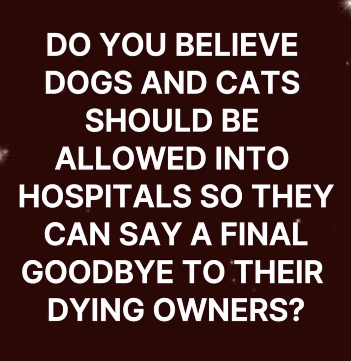 🙏🇺🇸𝑮𝒐𝒅 𝑩𝒍𝒆𝒔𝒔 𝑨𝒎𝒆𝒓𝒊𝒄𝒂🇺🇸🙏 tweet media