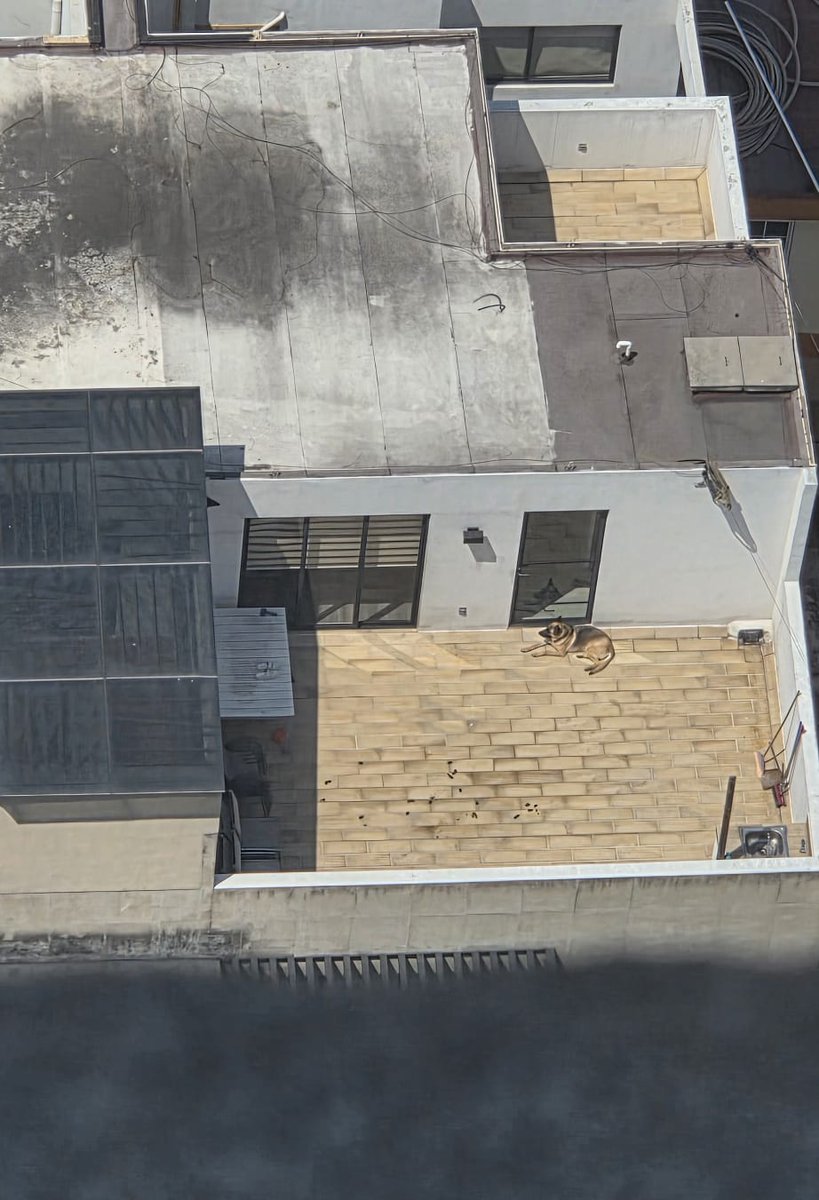 david bernal tweet media