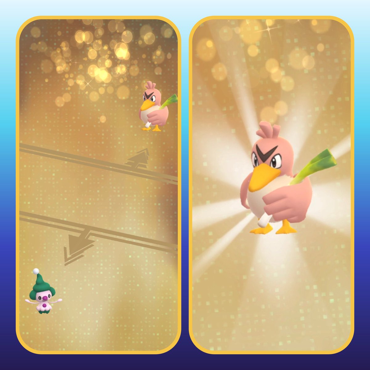 Aquatictoise tweet media