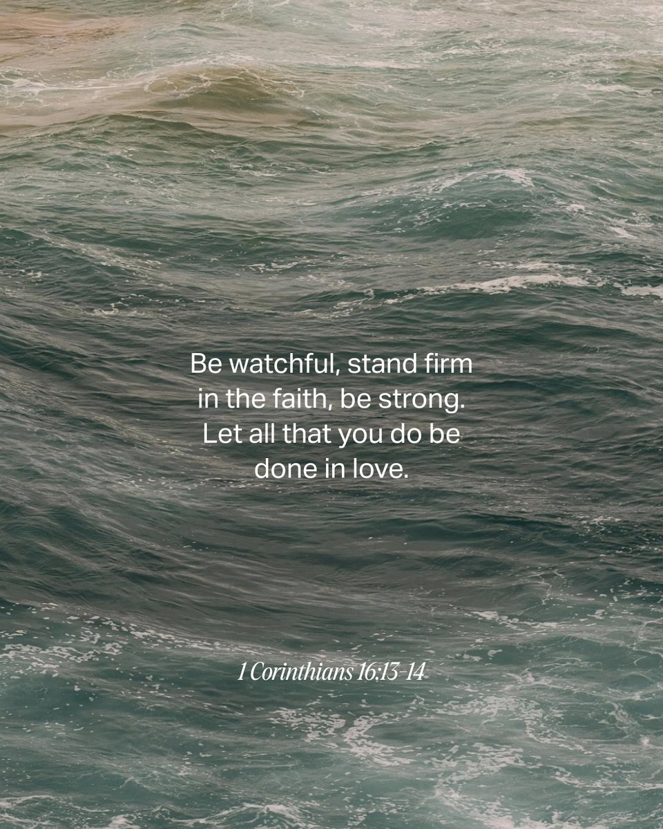 YouVersion Bible App tweet media