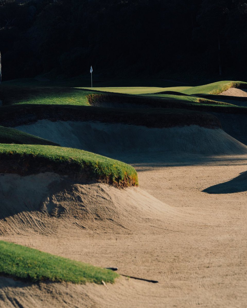 The Genesis Invitational tweet media