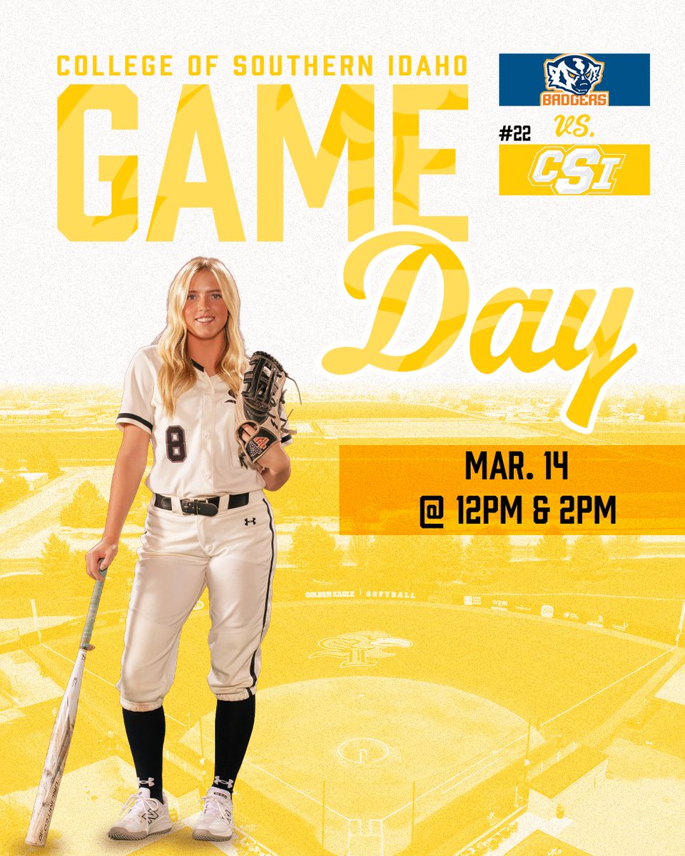 CSI Softball tweet media