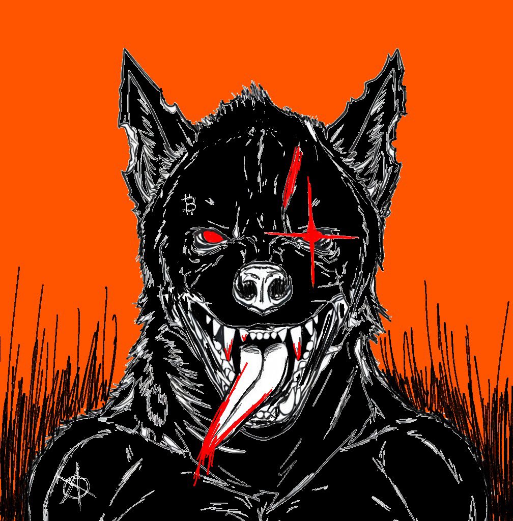 🔶🔸 tweet media