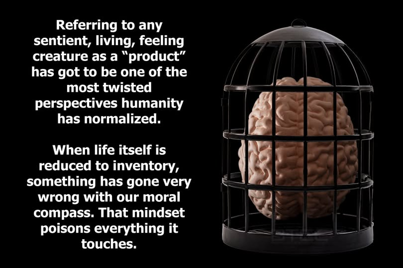 Kelly Eros tweet media