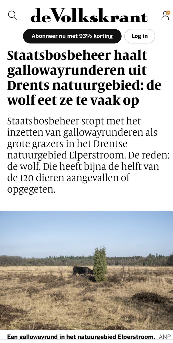 Menno de Bruyne tweet media