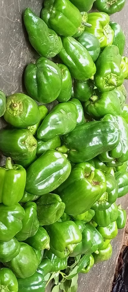 Bitcoin giants, community group tweet media