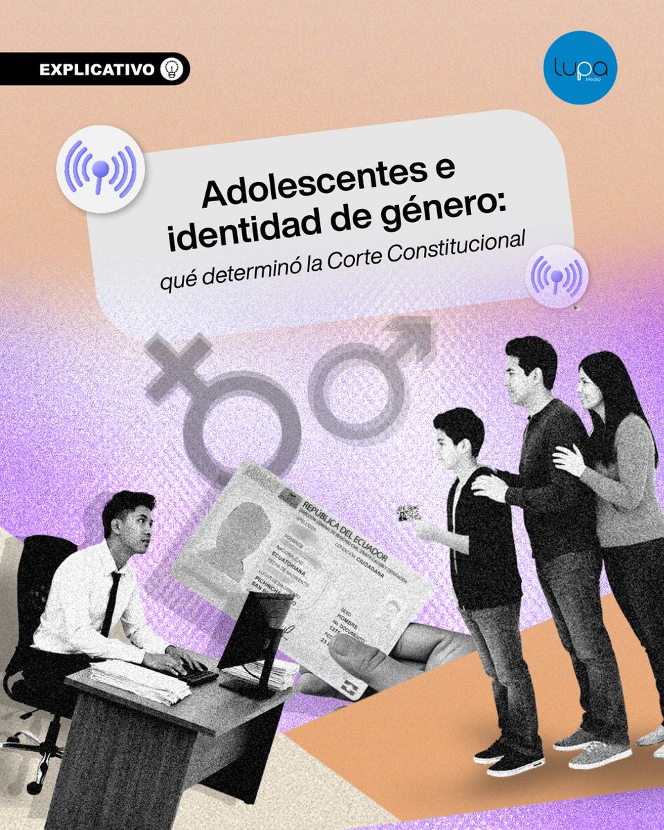 Lupa Media tweet media