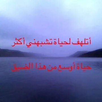 Instagram User tweet media