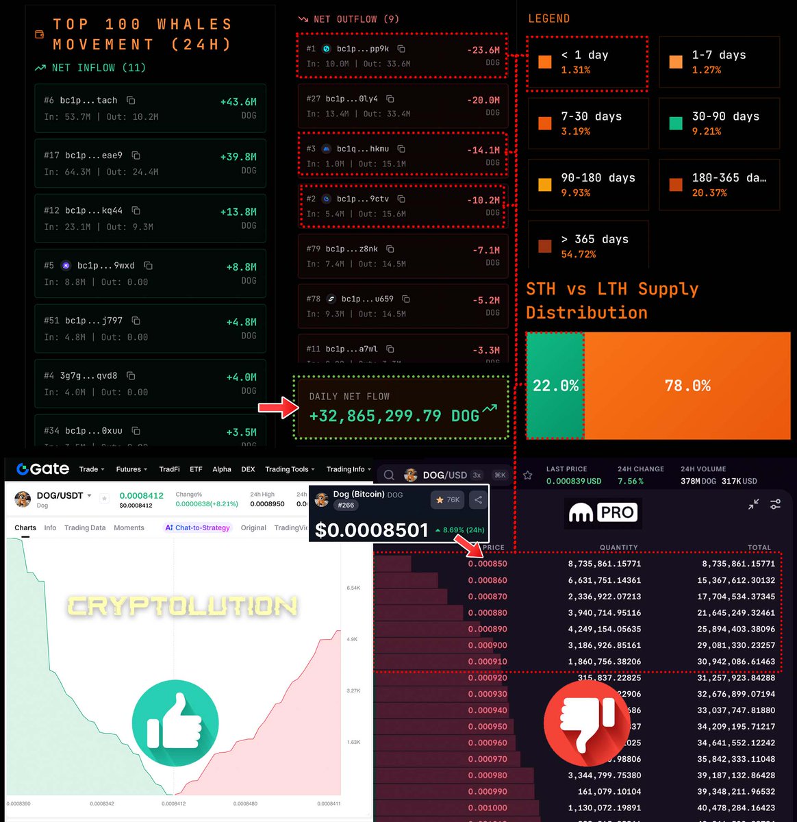 Vincent (Cryptolution) 👑 tweet media