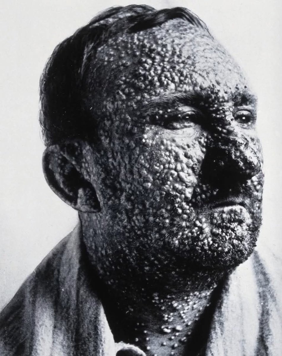 ArchaeoHistories tweet media