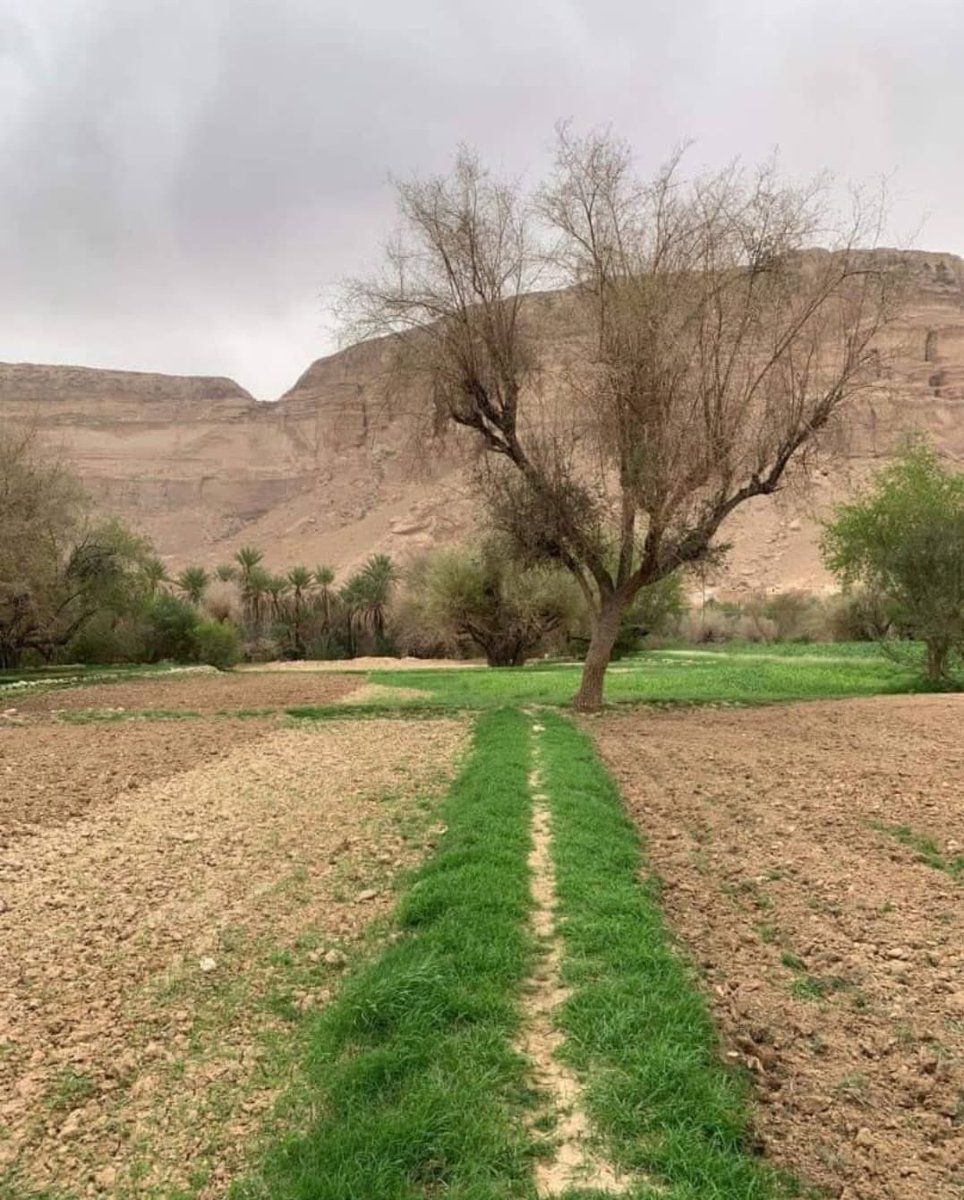 السّوُم

وهو موضع يفصل بين القطع الزراعية (الجروب/الحَجِل) , وهو طريق للوصول إلى مواضع زراعية أخرى . 

ويبدوا أن سبب التسمية هو نوع من أنواع المسار/الطرق للإنسان أو للحيوان , والسوم : أصله الذهاب في ابتغاء الشي‌ء . يقول ابن منظور المتوفى سنة 711هـ/1311م : "السَّوْمُ سرعة المَرِّ