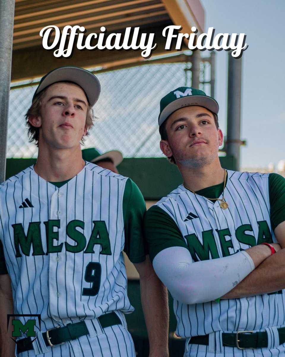Murrieta Mesa Baseball tweet media