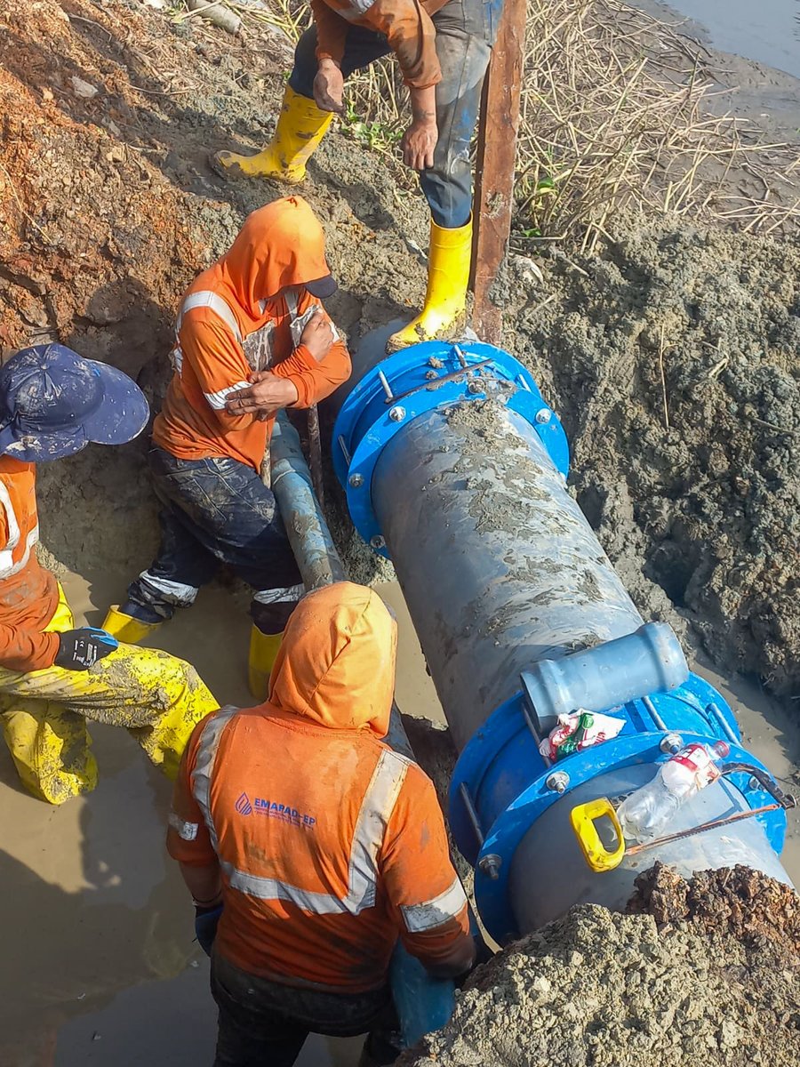 EMAPAD-EP tweet media