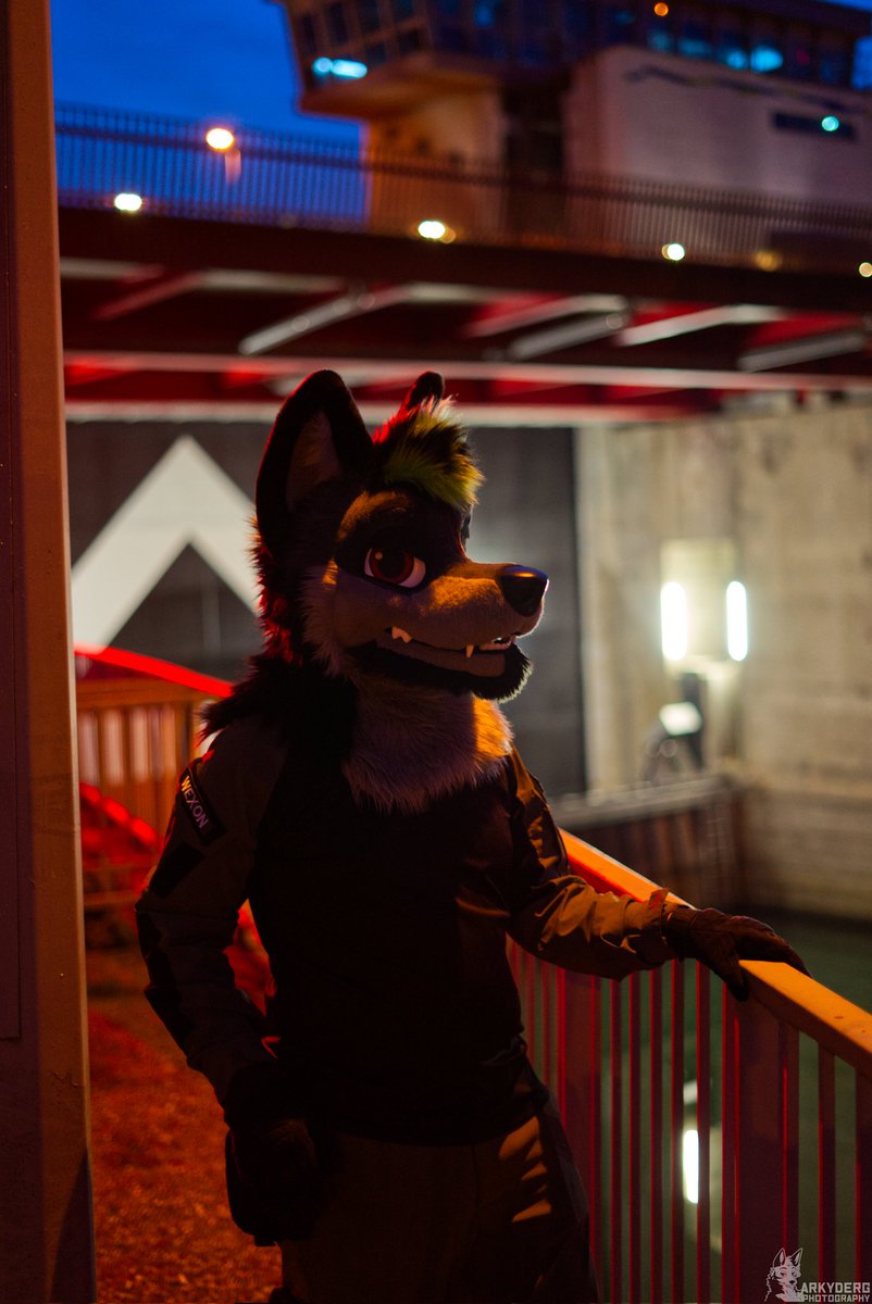 Wexon Zine tweet media