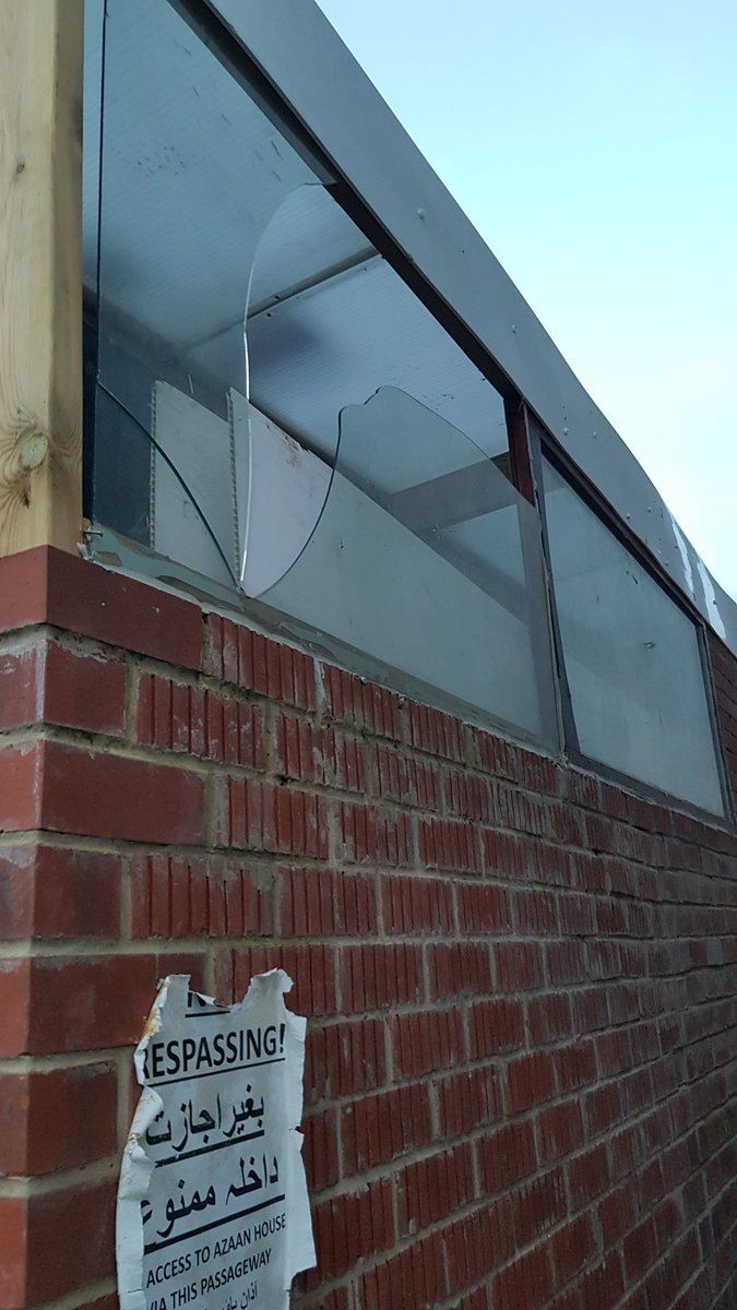 Dan Collis tweet media