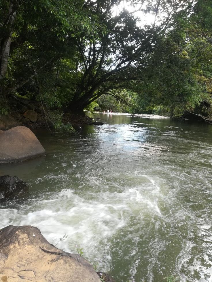 𝓞𝓶𝓪 🎀 tweet media