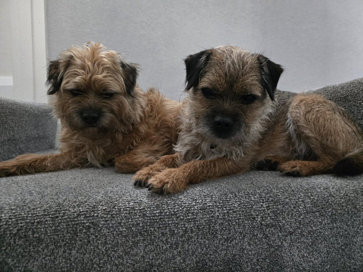 Arthur The BT tweet media