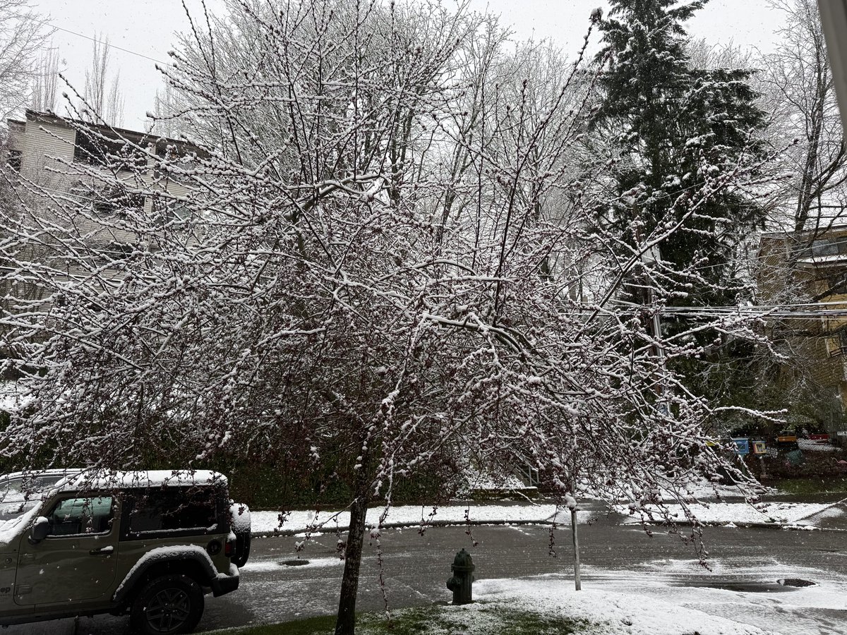 Phil Fox Rose tweet media