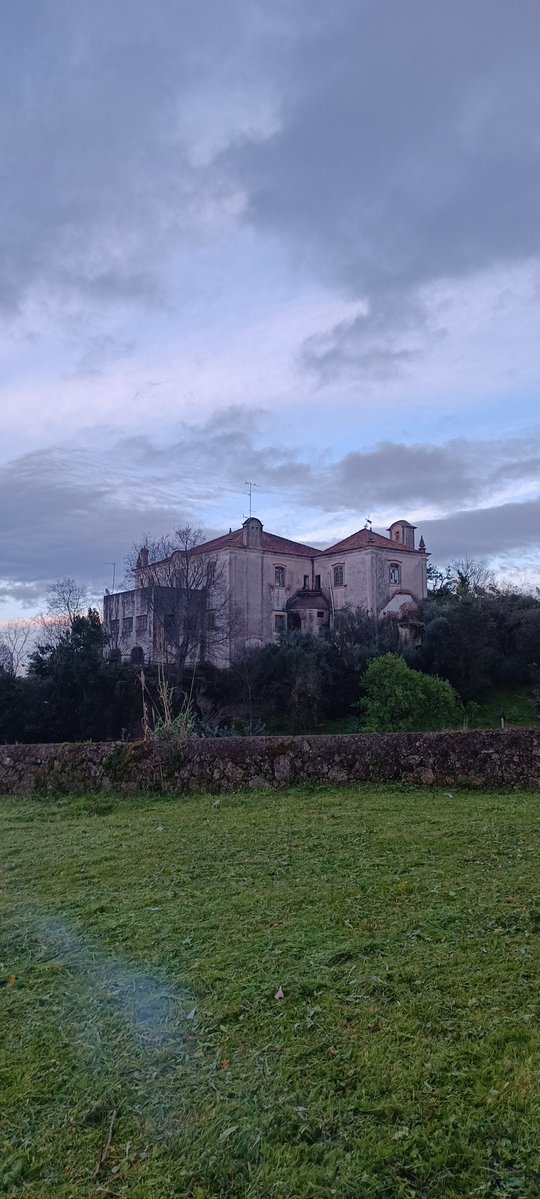 Veronica tweet media