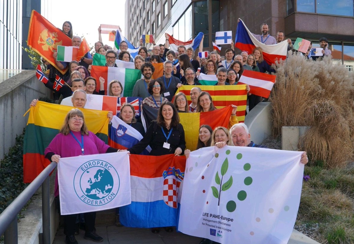 Parc Natural de l'Alt Pirineu tweet media