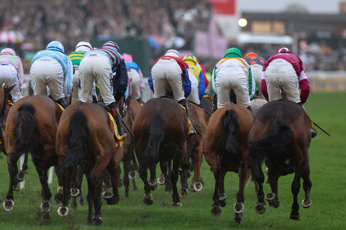 Racing Post tweet media