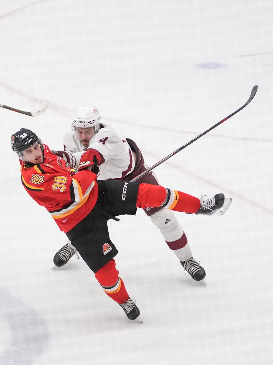 MacEwan University tweet media