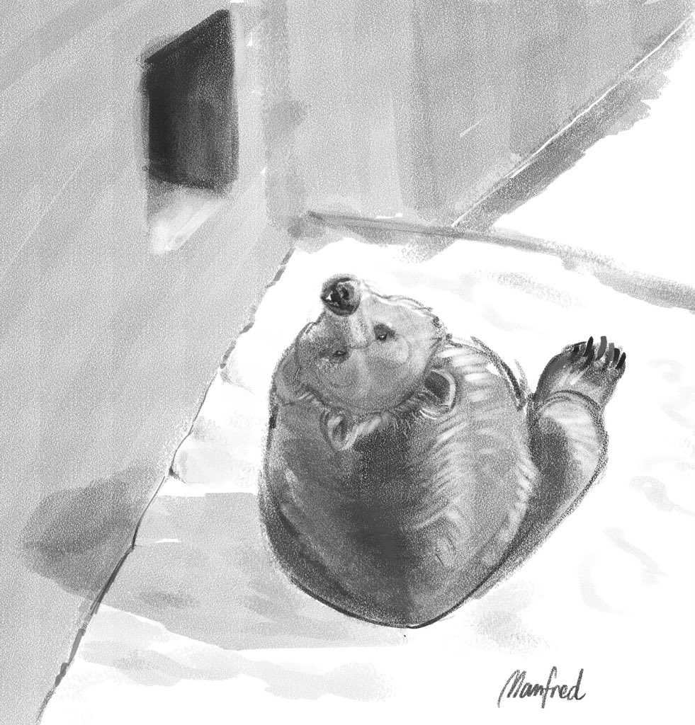 Manfred Chan tweet media