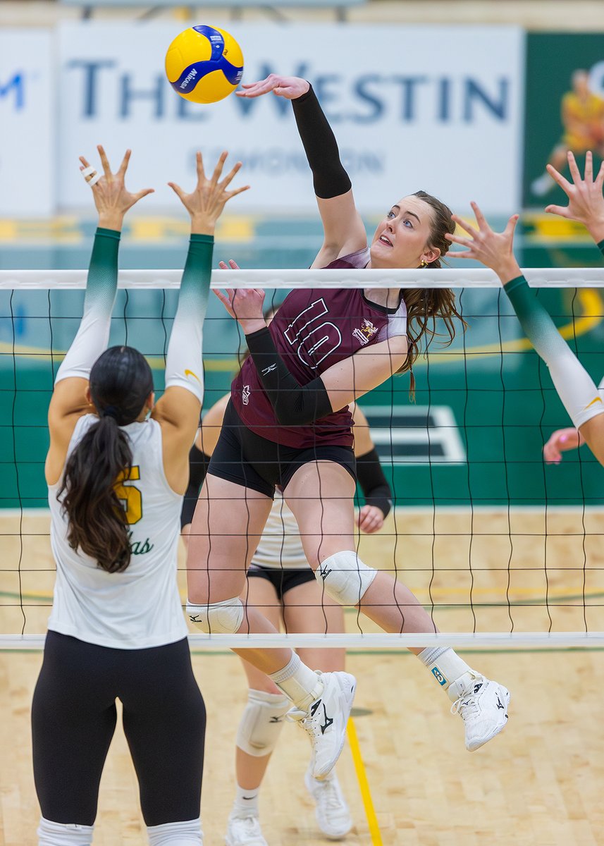 MacEwan University tweet media