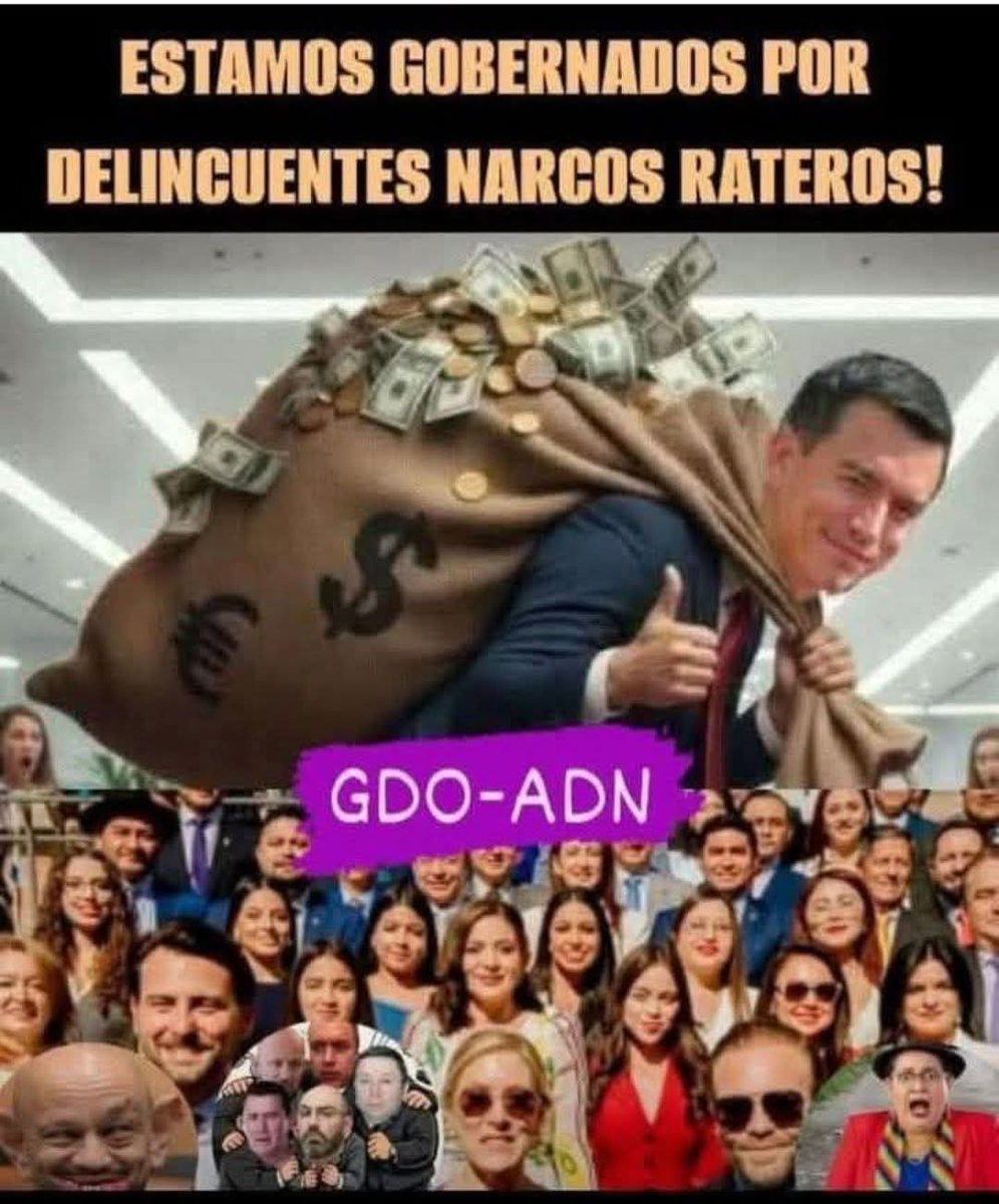 a_snch13890's tweet photo. @LivingstonOPer1 @LibreMENTE79 @SoyBelenix @DanielNoboaOk CLARO hijo de Puta 
Es x eso que el Ecuador.. tú Ecuador está en la RE VRG LLENO DE RATAS DELICUENTES NARCOTRAFICANTES https://t.co/p1lWNcTNIQ
