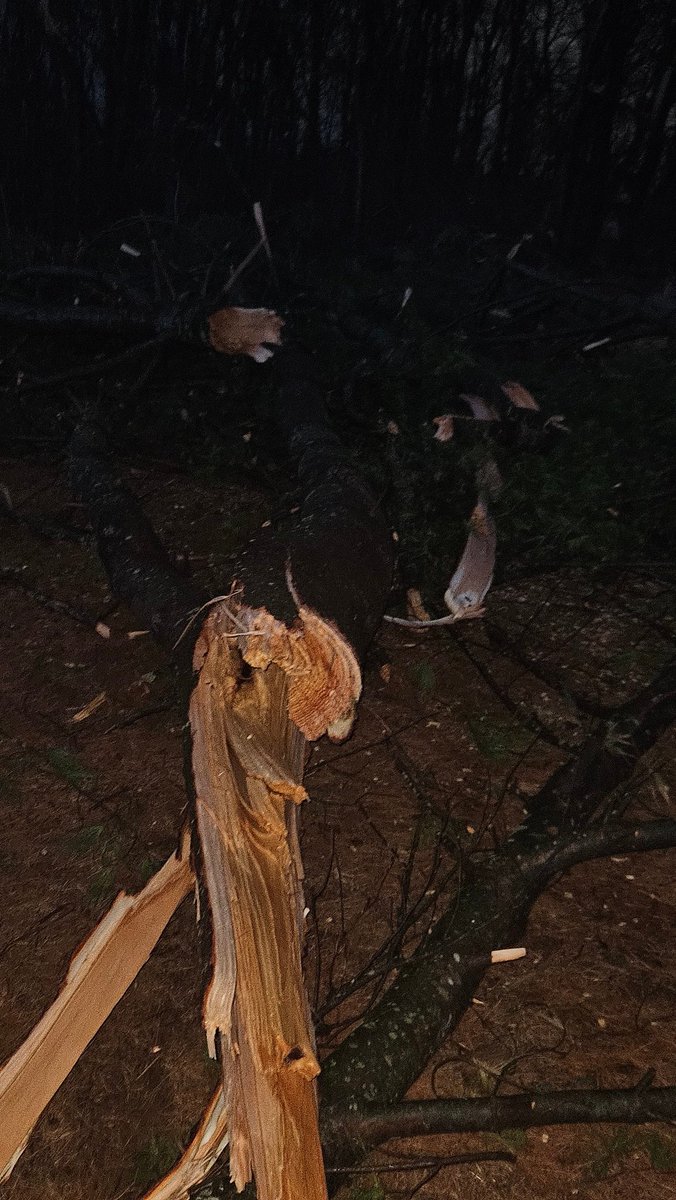 mcds420's tweet photo. @JustinWeather I live in West Friendship near Cooksville and had similar damage. https://t.co/RknWe73rJv