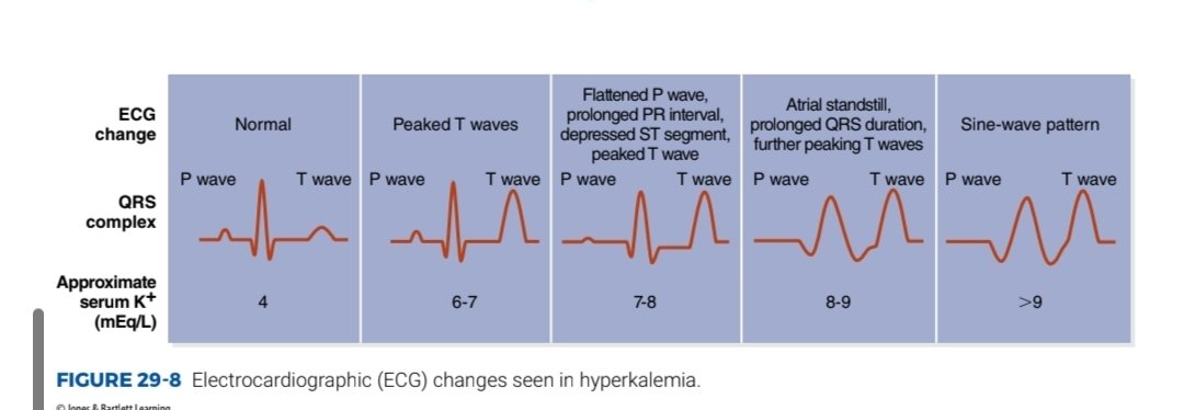 علي المحمد صالح tweet media