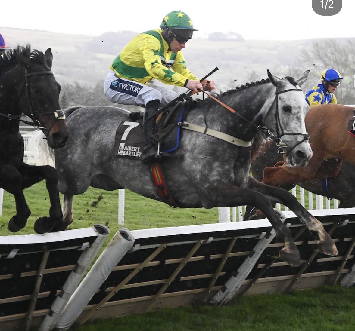 BallytrasnaFarm's tweet photo. Grade 1 glory for Ballytrasna graduate Johnny’s Jury in the Albert Bartlett. Bought as a foal for Mrs Fiona Magee and sold at the Goffs arkle sale. Congratulations to all connections✨🥂 https://t.co/J9rb2uNPCj