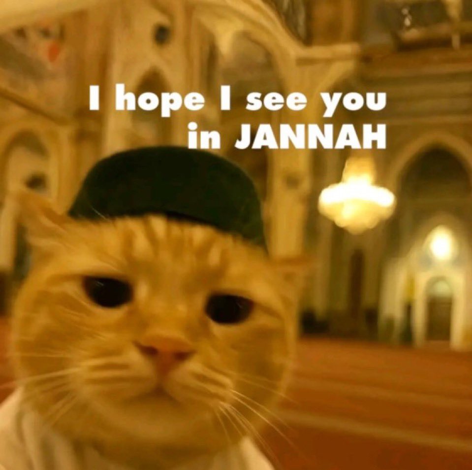 غريب tweet media