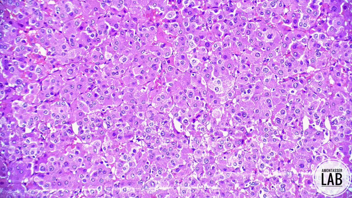 Ahmed Montasser tweet media