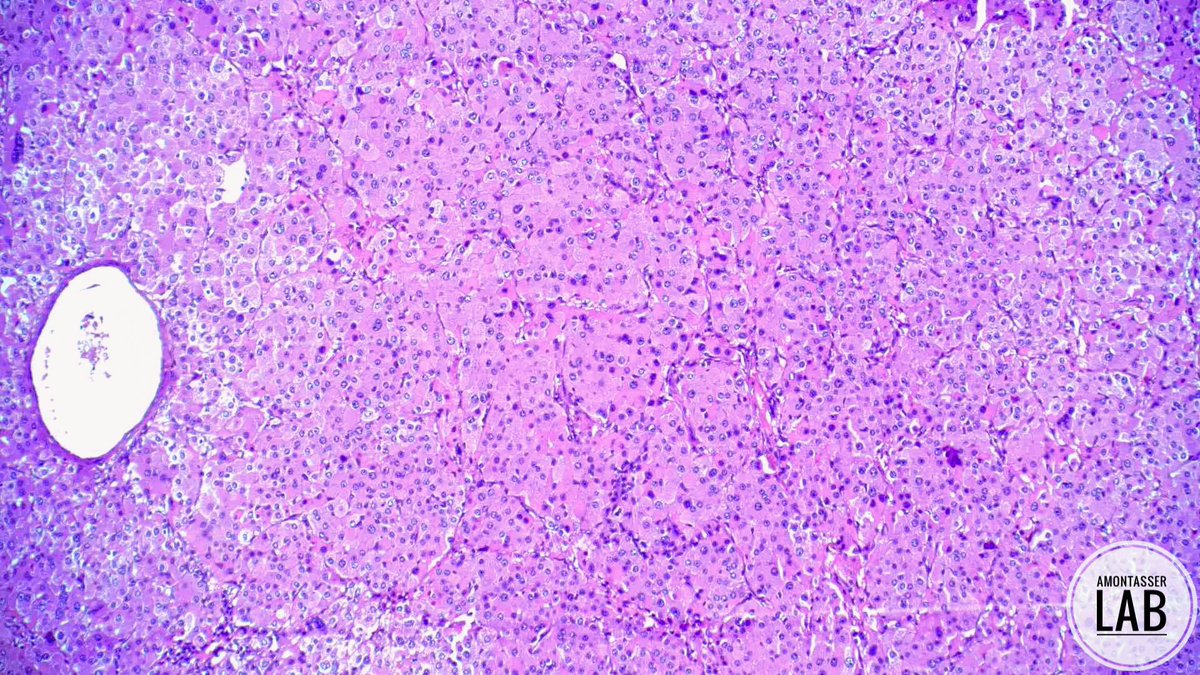 Ahmed Montasser tweet media