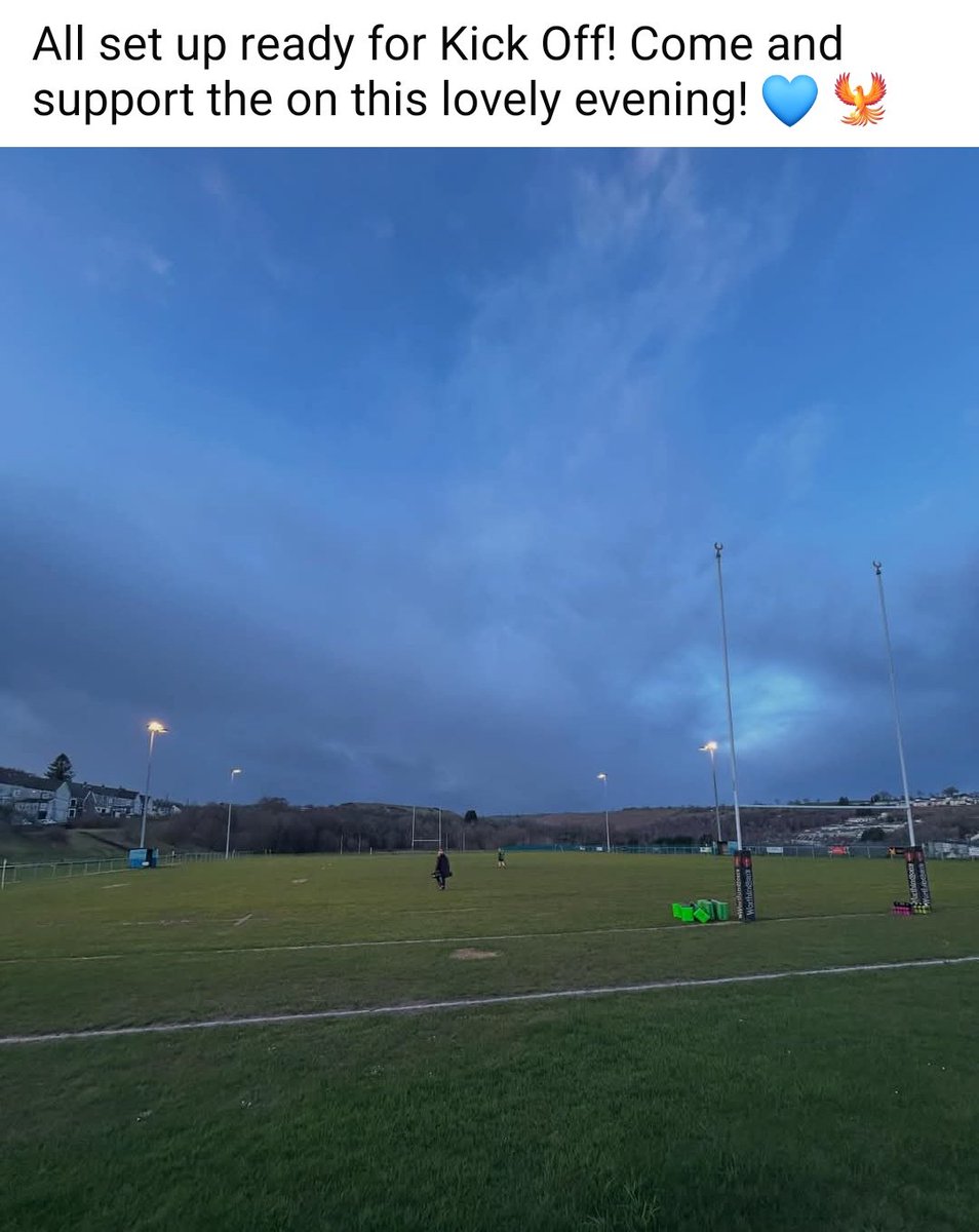 TreharrisPhoenix tweet media