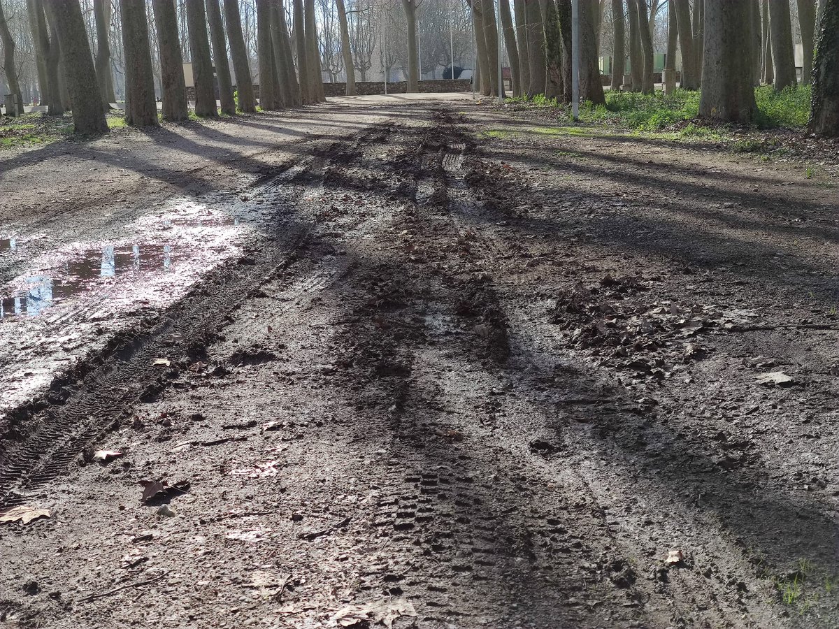 La Devesa tweet media