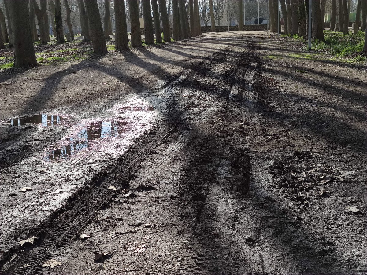 La Devesa tweet media