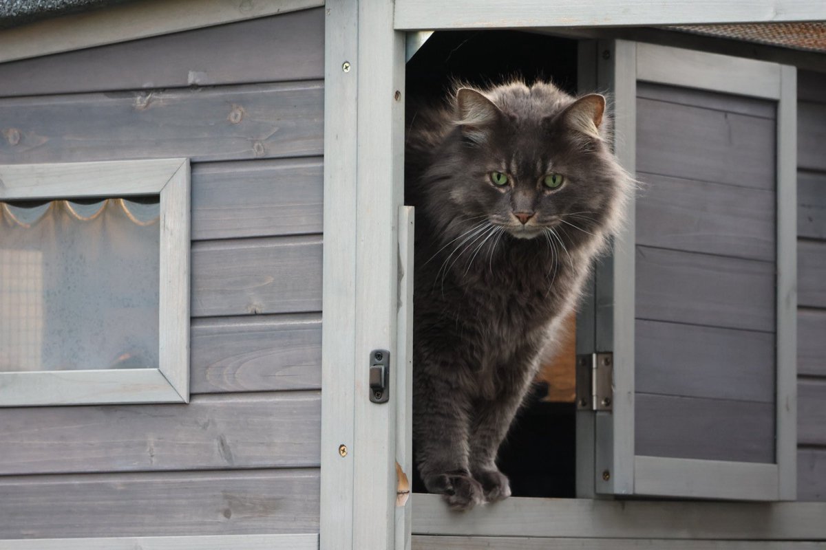 Jupiter_Hadley's tweet image. Little evening walk! #photography #nature #walk