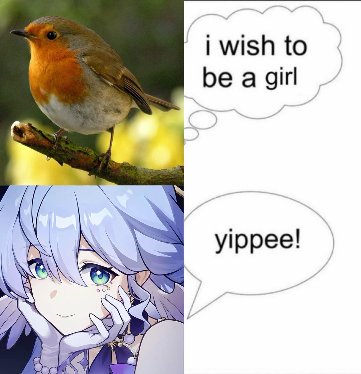 Timely Robin SP ໒꒱ tweet media