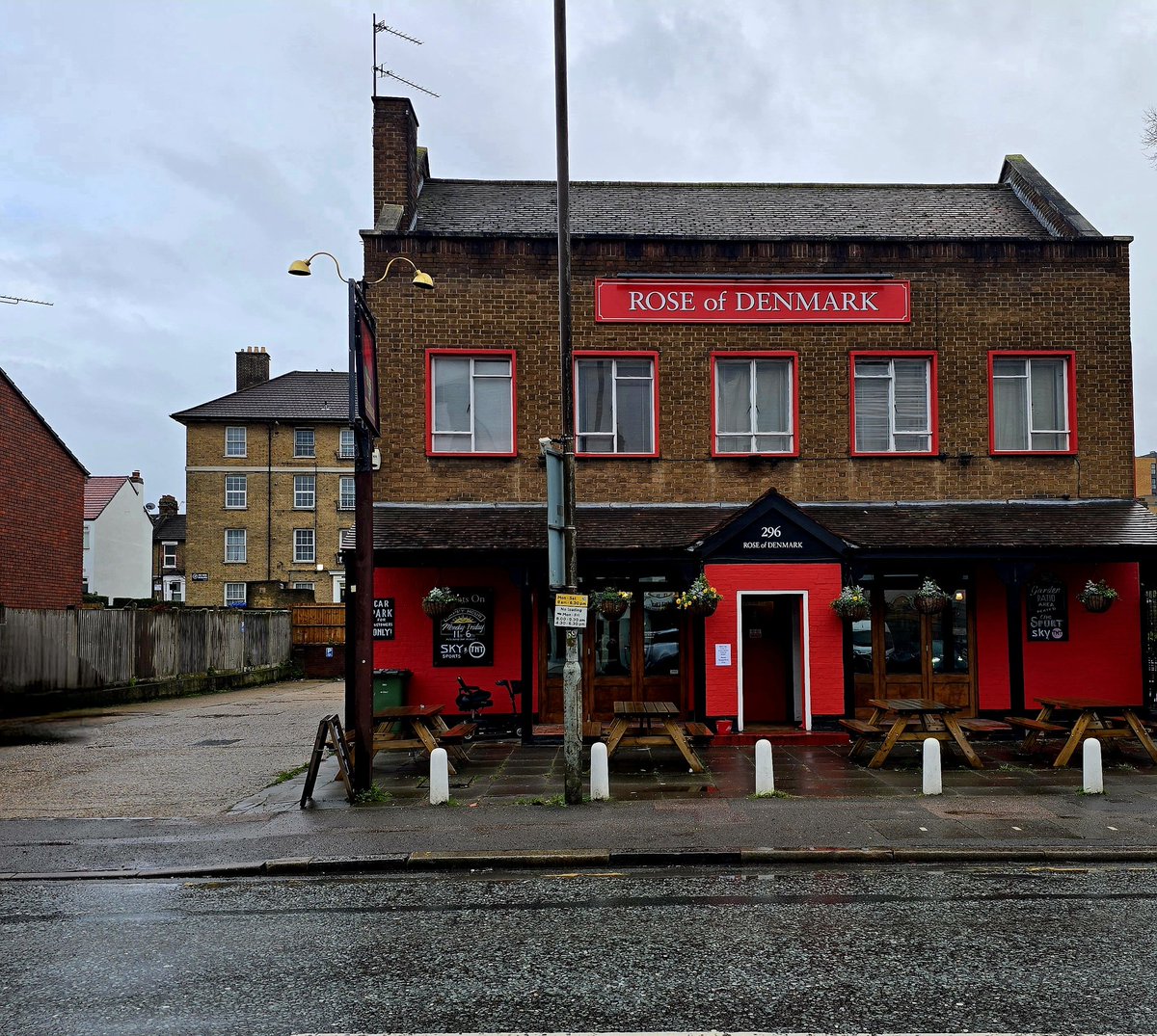 Chelsea Dan tweet media