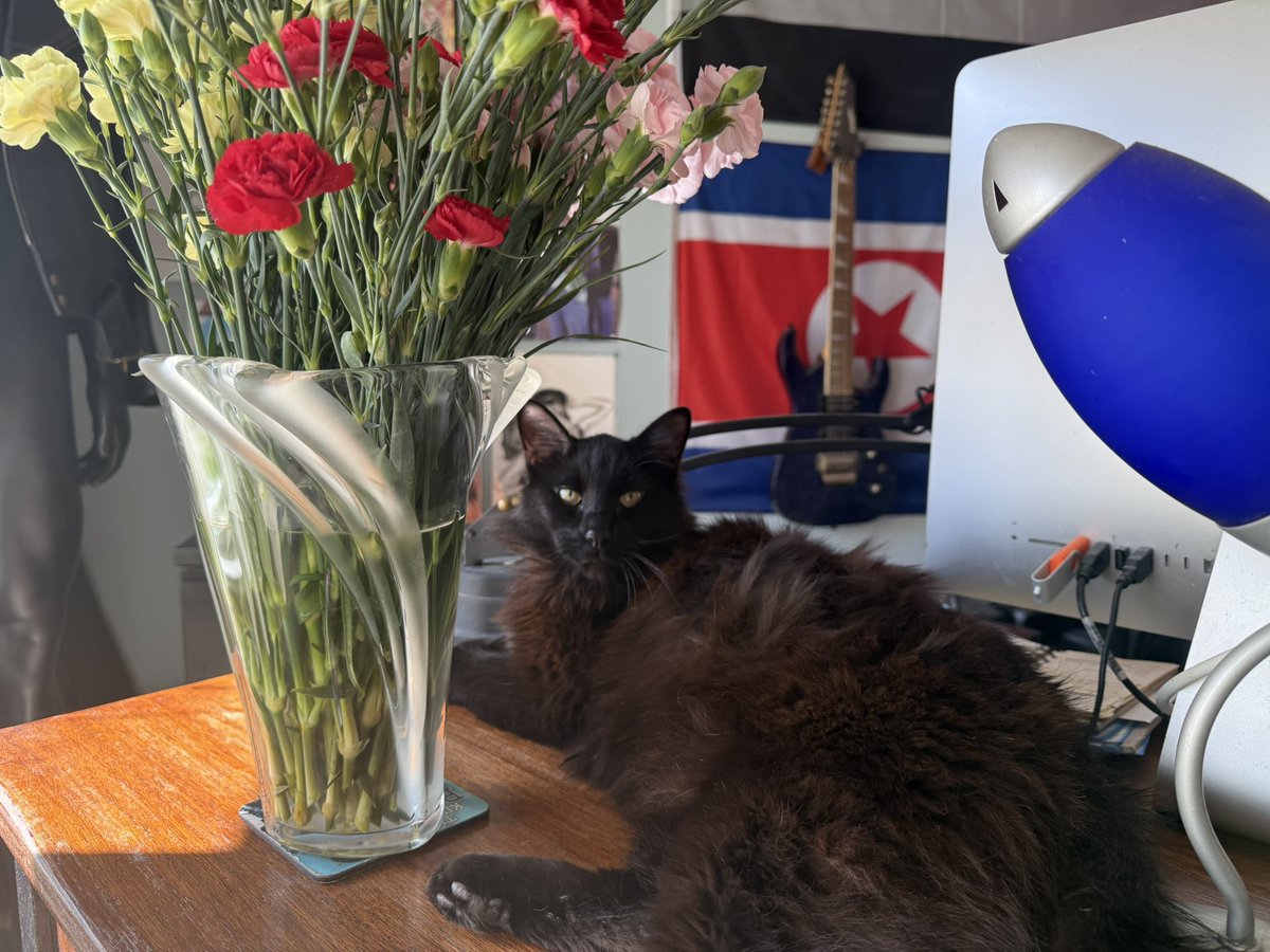 DavidAlanDedin's tweet photo. Vinnie, on my writing desk. https://t.co/nAL0Lp5Tmn