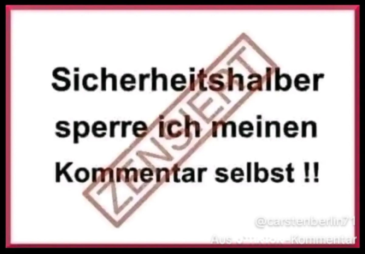 AlicefürDeutschland 💙💙💙🇩🇪🇷🇺🇩🇪🇷🇺🇭🇺🇺🇸 tweet media