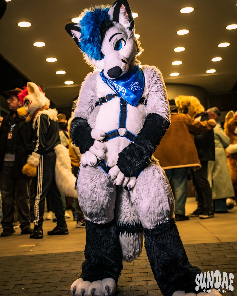 Riyo ➡️ Scotia, NFC tweet media