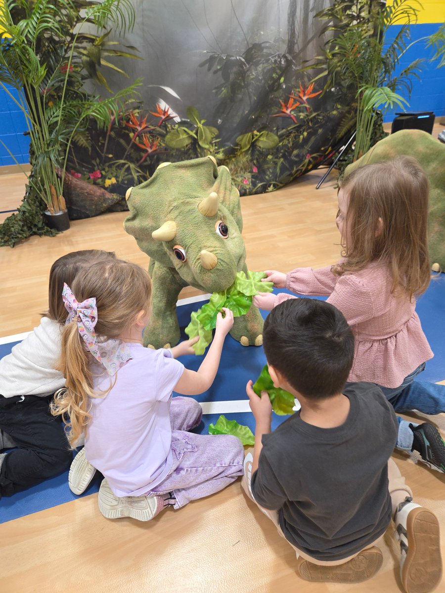 Trisha Costello tweet media