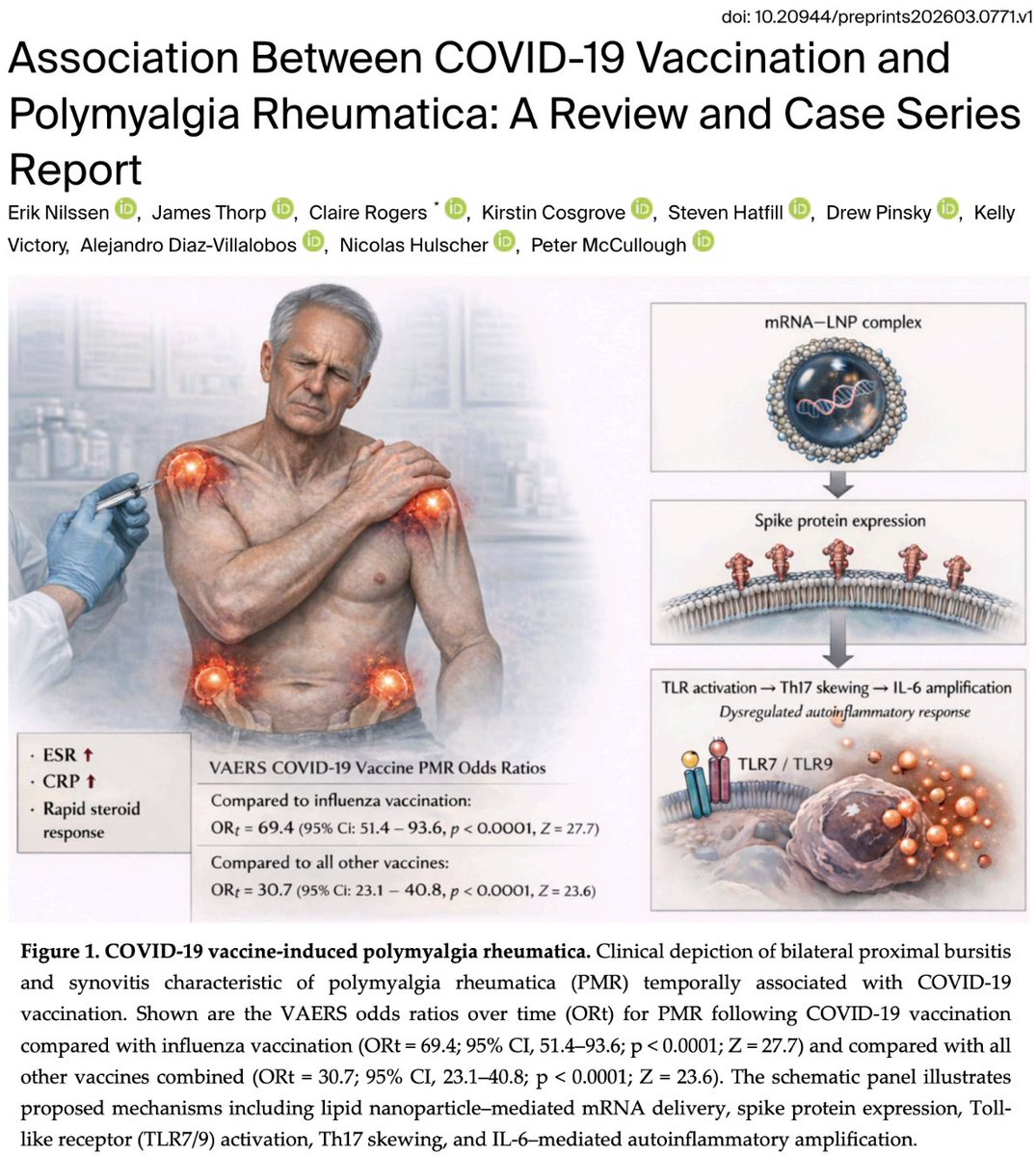 Nicolas Hulscher, MPH tweet media